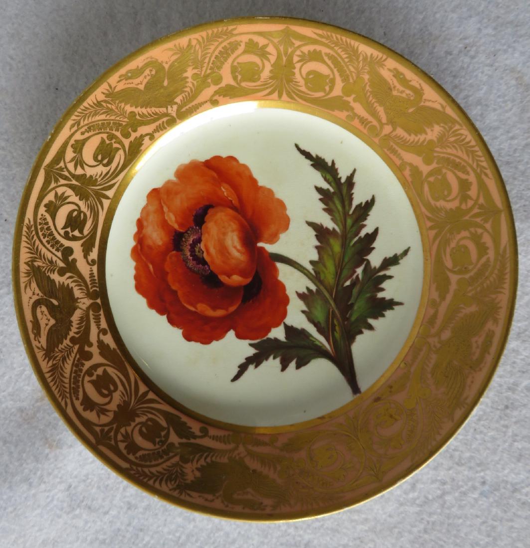 Derby plate with hand painted floral design entitled: Derby plate with hand painted floral design entitled "Large Eastern Poppy", probably by John Brewer circa 1800. This series of Derby floral plates were hand painted after prints published in The Botan