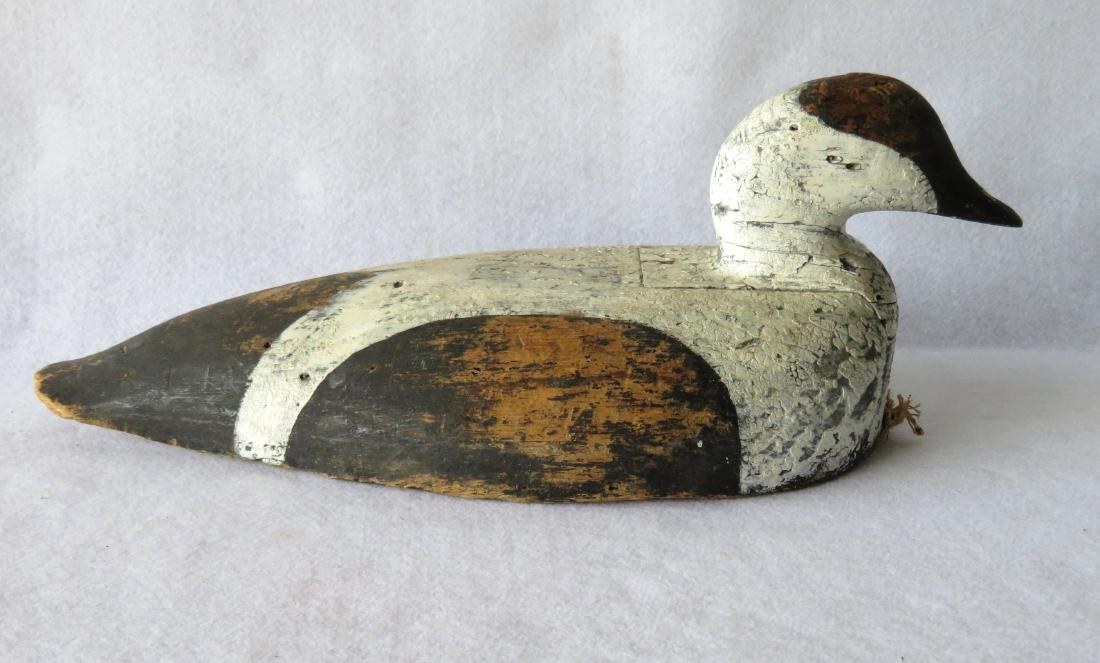 Large Eider decoy with inlet head, solid body, Maine (1 of 5)