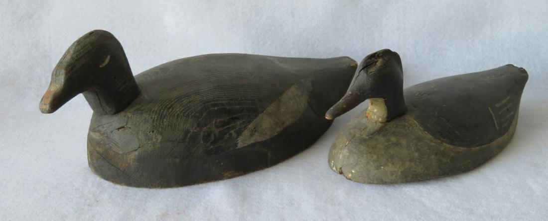 Two primitive Maine decoys including a Scoter and (1 of 8)