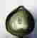 item-66217299=13