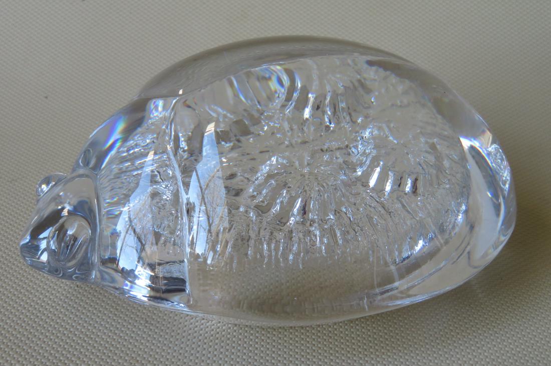 Art glass paperweight scarab beetle signed Daum France: Art glass paperweight scarab beetle signed Daum France - 5"L x 3 3/4"W. Excellent condition.