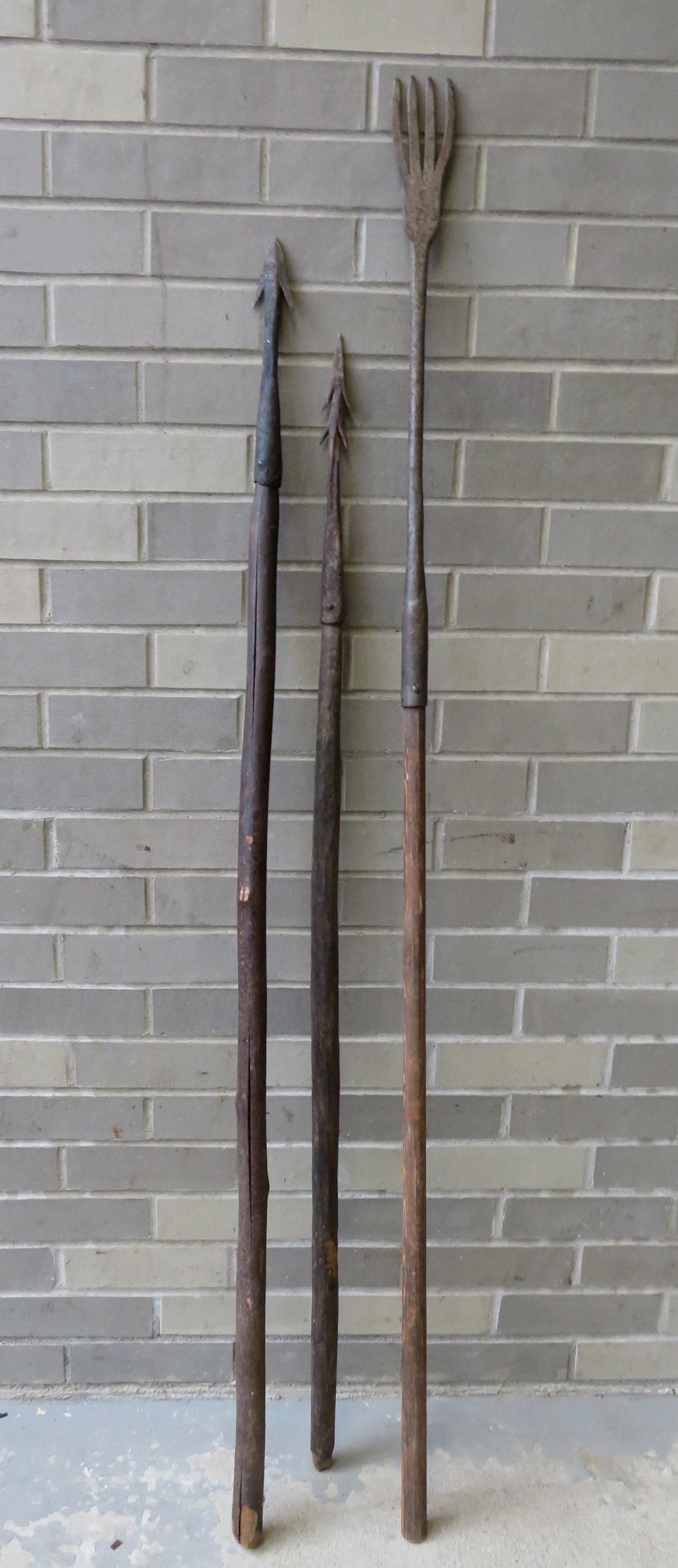 Three hand forged iron spears including: An eel spear: Three hand forged iron spears including: An eel spear and 2 possibly for large fish or harpoon, probably early 19th century. The longest 59"L. All in good condition.