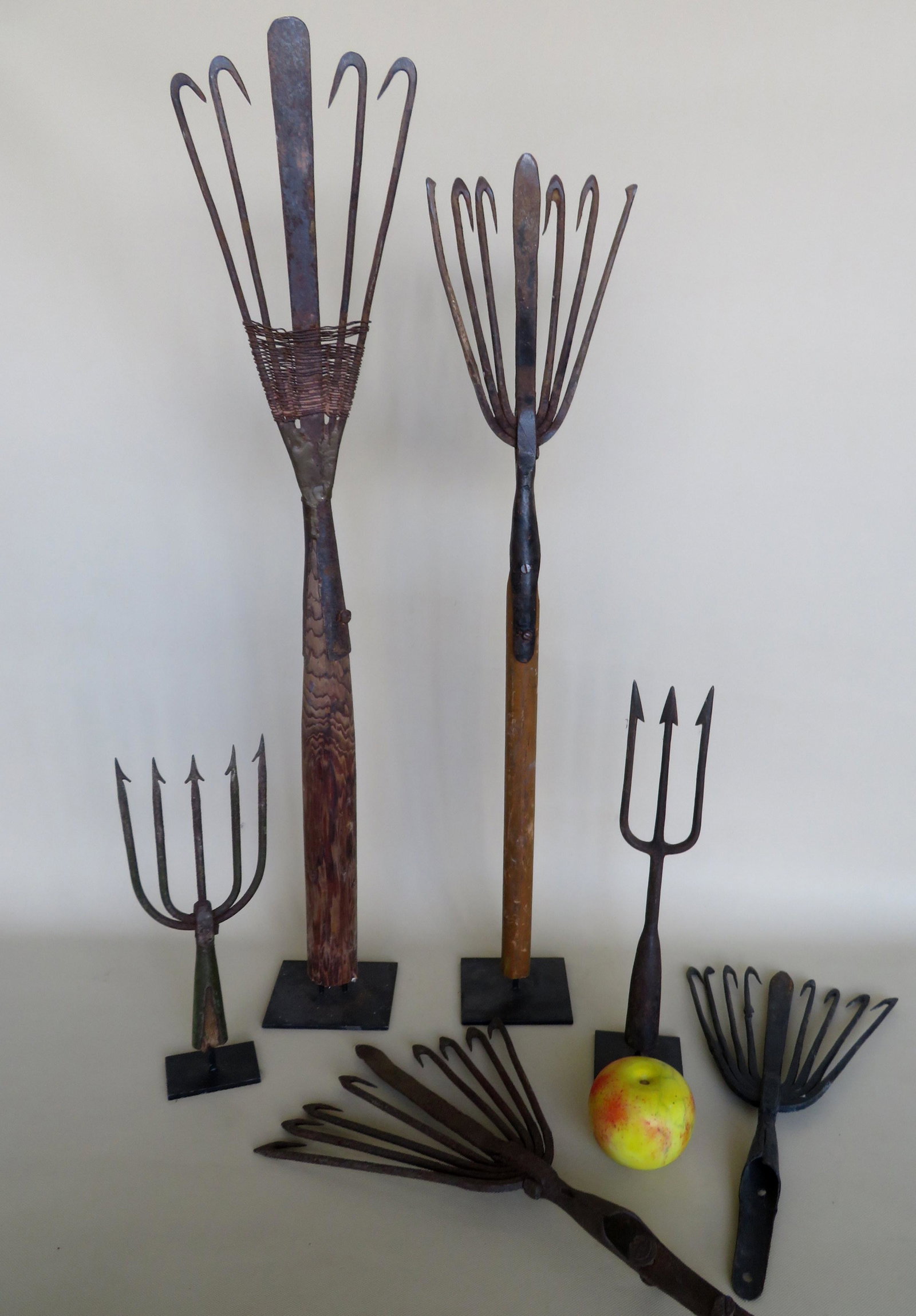 Grouping of 6 iron eel spears, 4 mounted for display,: Grouping of 6 iron eel spears, 4 mounted for display, ranging in size from 10"H to 31"H. All in good condition, late 19th to early 20th century.