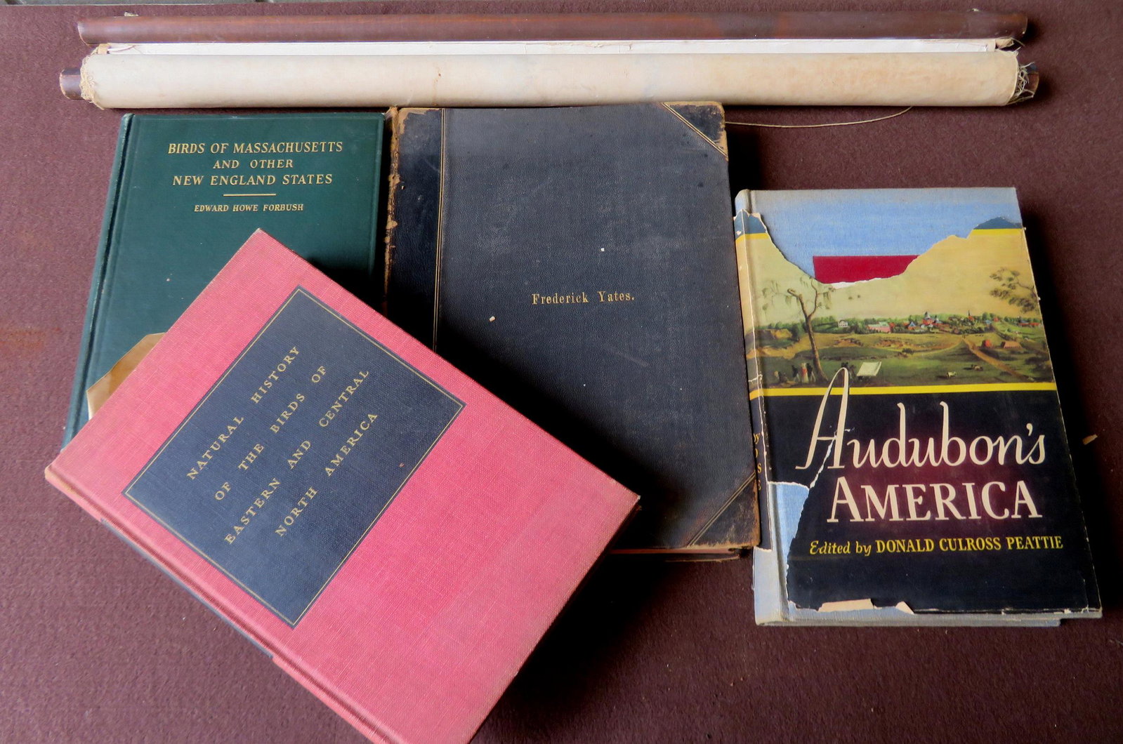 Grouping of 4 bird related vintage reference books and: Grouping of 4 bird related vintage reference books and an Audubon wall chart - books include: 1) "Birds of Massachusetts And Other New England States" by Edward Howe Forbush and issued by the Massachu