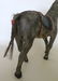A folk art carved and painted horse with horse hair - 6