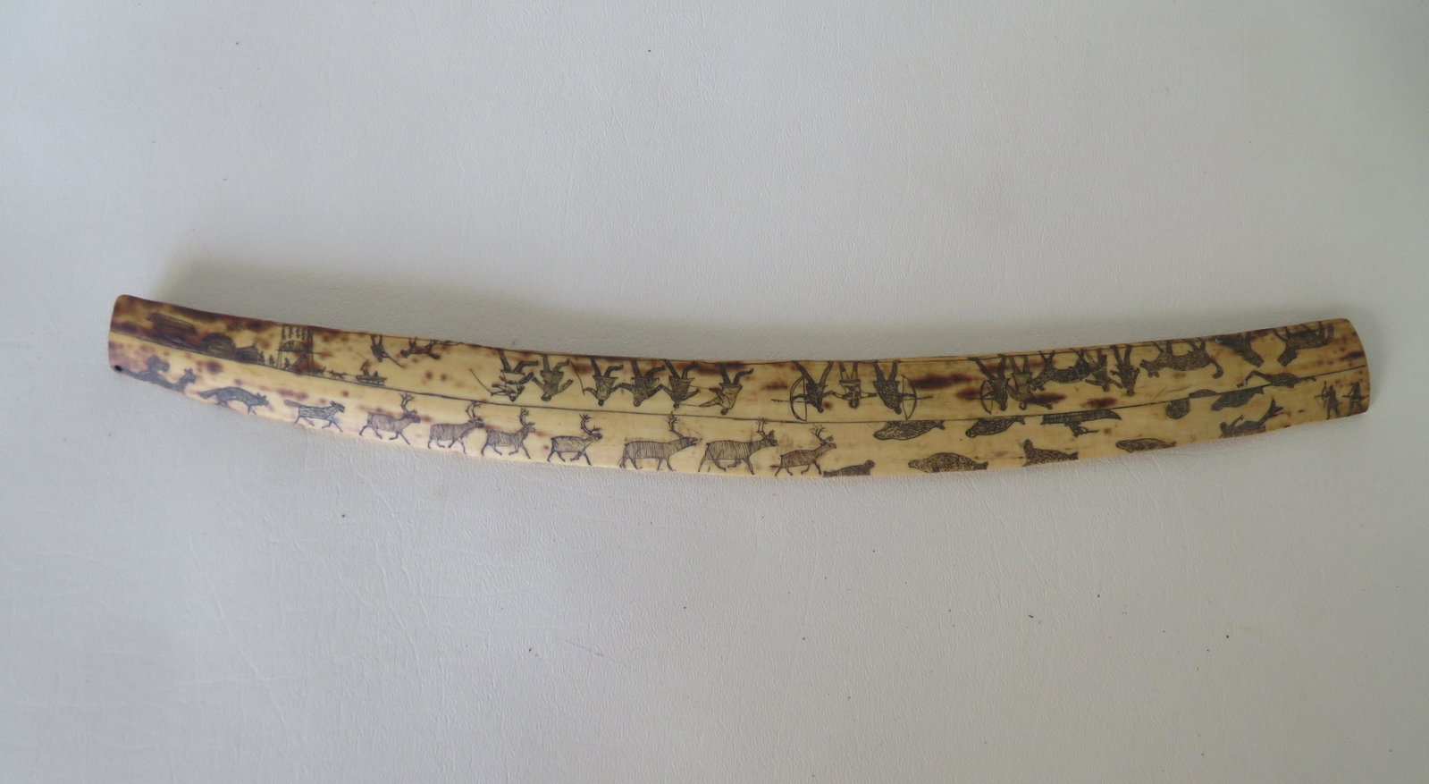 A primitive bone scrimshaw depicting wolves, otter with: A primitive bone scrimshaw depicting wolves, otter with fish, dog sleds, igloo shaped houses, various insects, caribou, seals, men with bows & arrows some depicting hunting scenes, man hunting in boat