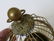 Fancy French automaton brass bird cage music box, with - 2