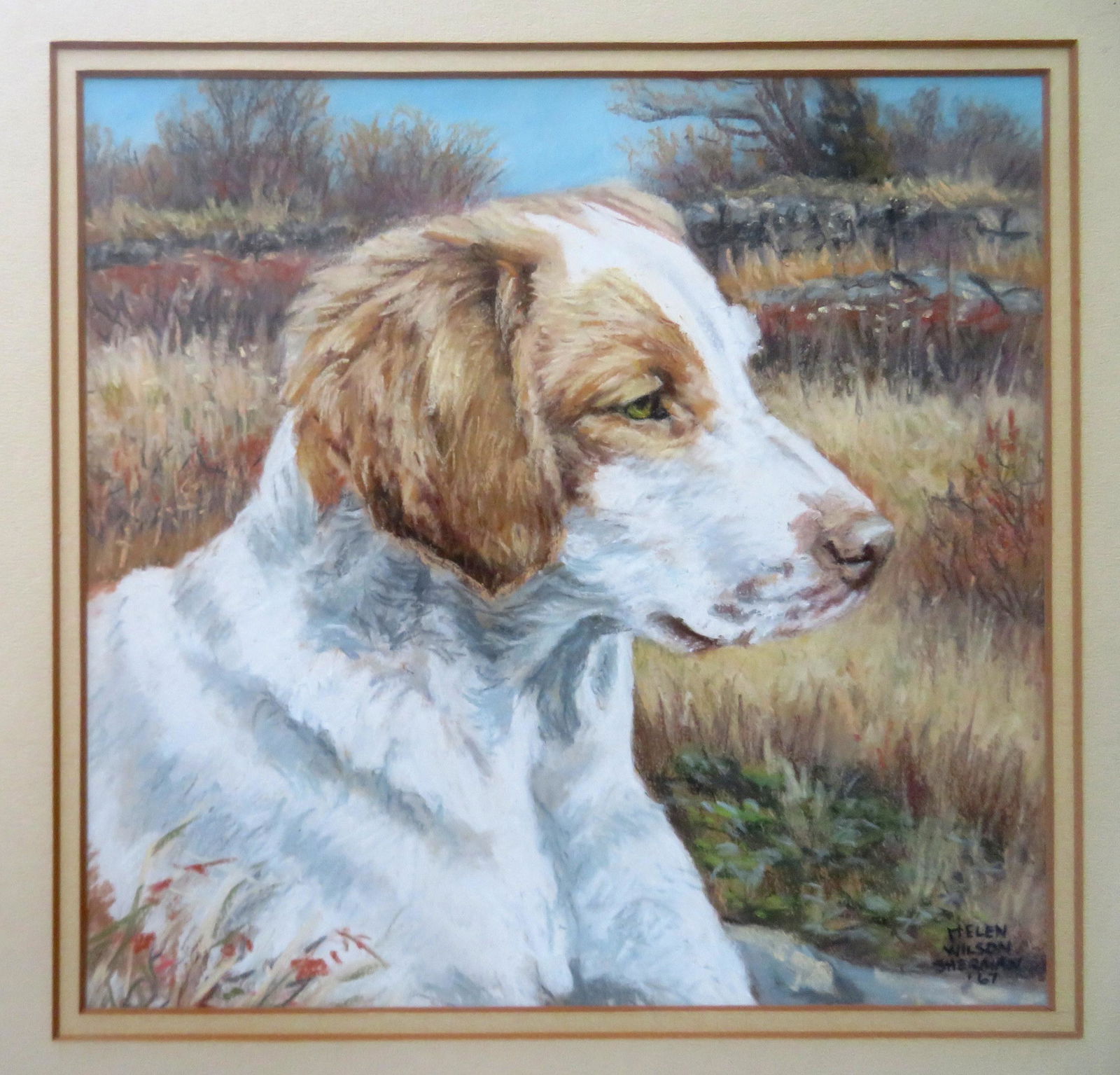 Helen Wilson Sherman (Mass/RI 1913-2005). W/C Portrait: Helen Wilson Sherman (Mass/RI 1913-2005). W/C Portrait of a young dog, signed lower right and dated 1967. Very good condition. Sight size 10 3/4" x 10 1/4" - frame size 19" x 18 1/4".