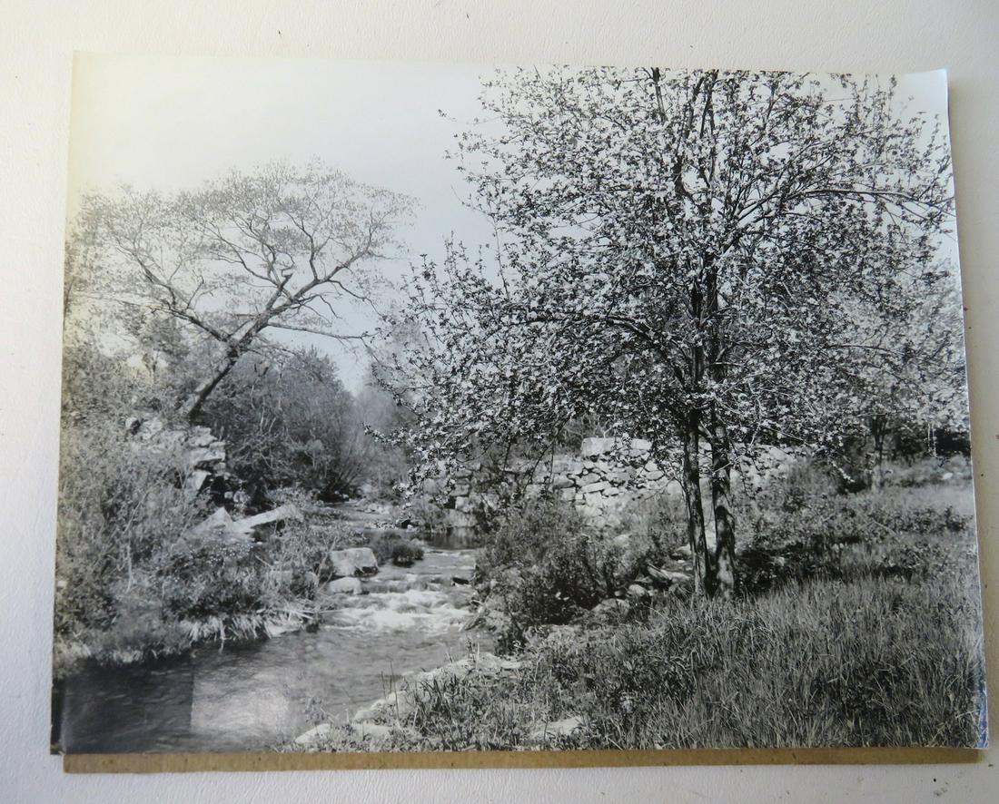 A rare original Wallace Nutting black and white photo: A rare original Wallace Nutting black and white photo for placement in his book entitled "Connecticut Beautiful" and the photo entitled "They Grew In Beauty Side By Side - Winsted" - 1st edition page