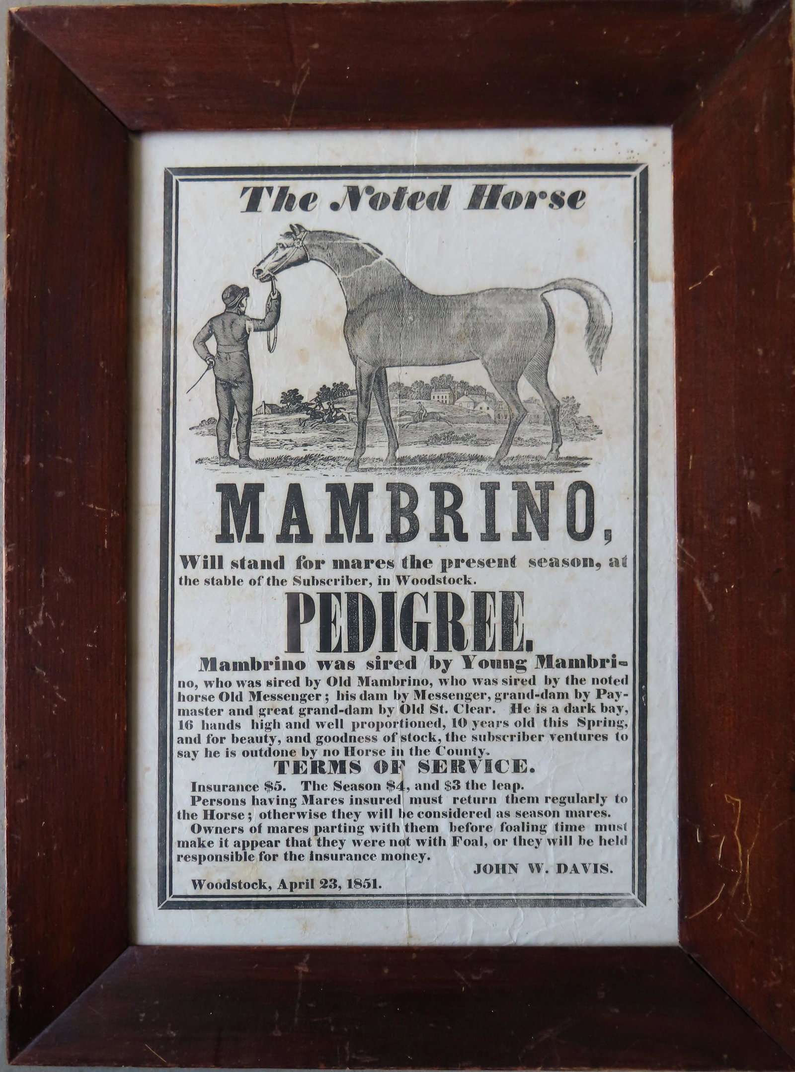 Lithograph broadside with an image of a standing: Lithograph broadside with an image of a standing stallion, announcing that the "Noted Horse Mambrino will stand for mares this present season" - Pedigree included as well as terms - dated "Woodstock A