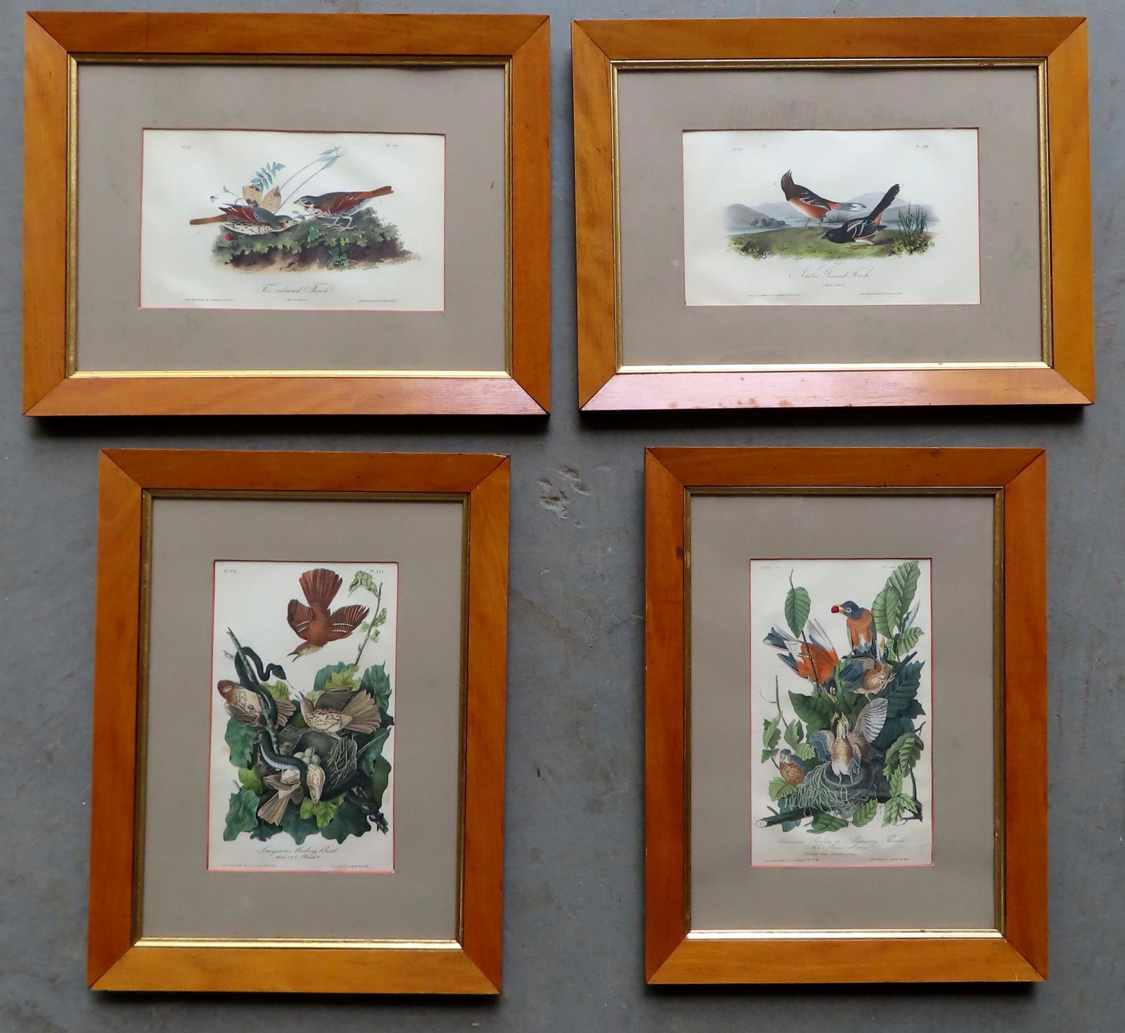 Four original Audubon hand colored bird prints from (1 of 8)