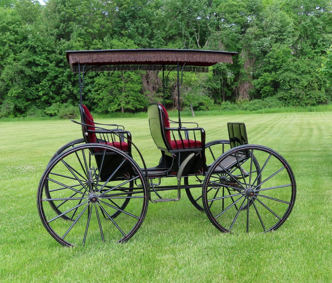 A surrey with wooden wheels, 2 seats, fringed removable (1 of 16)