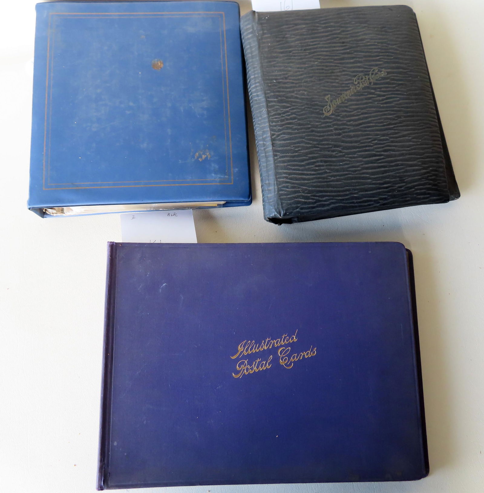 Three postcard albums. The first containing 115 (1 of 12)