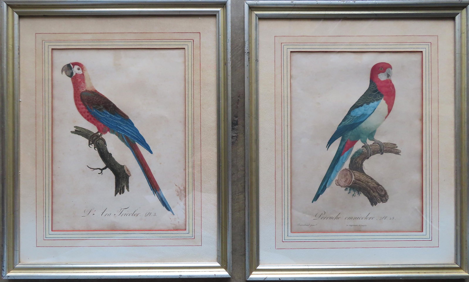 Two hand colored French parrot bird prints, circa 1800: Two hand colored French parrot bird prints, circa 1800 including: 1) Titled "Le Ara Tricolor . Pl . 5." - The Cuban macaw or Cuban red macaw (Ara tricolor) was a species of macaw native to the main is