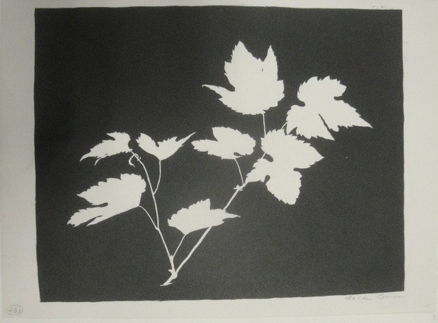 Etching - entitled Fox Grape 1924 - signed Bolton: Etching - entitled Fox Grape 1924 - signed Bolton Brown (NY/California 1864-1936) - 8" x 10"