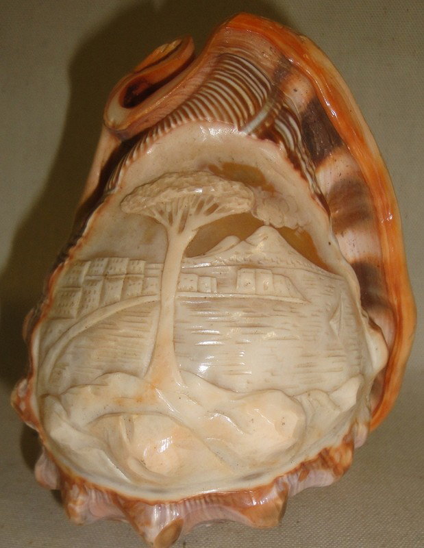Islands carved seashell lampshade - probably early: Islands carved seashell lampshade - probably early 20th c.