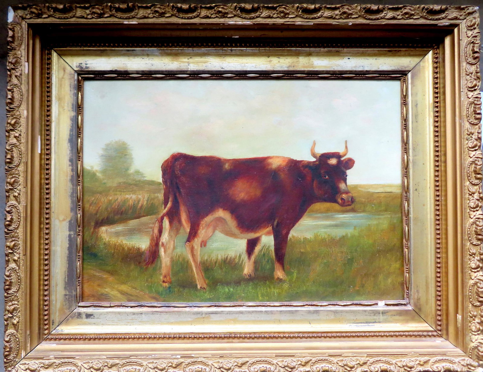 O/C Portrait of a country cow in original gilt gesso with minor wear and glazing flakes - the: O/C Portrait of a country cow in original gilt gesso with minor wear and glazing flakes - the painting with one patch on reverse otherwise very good condition. Stretcher size 20" x 14" and total frame