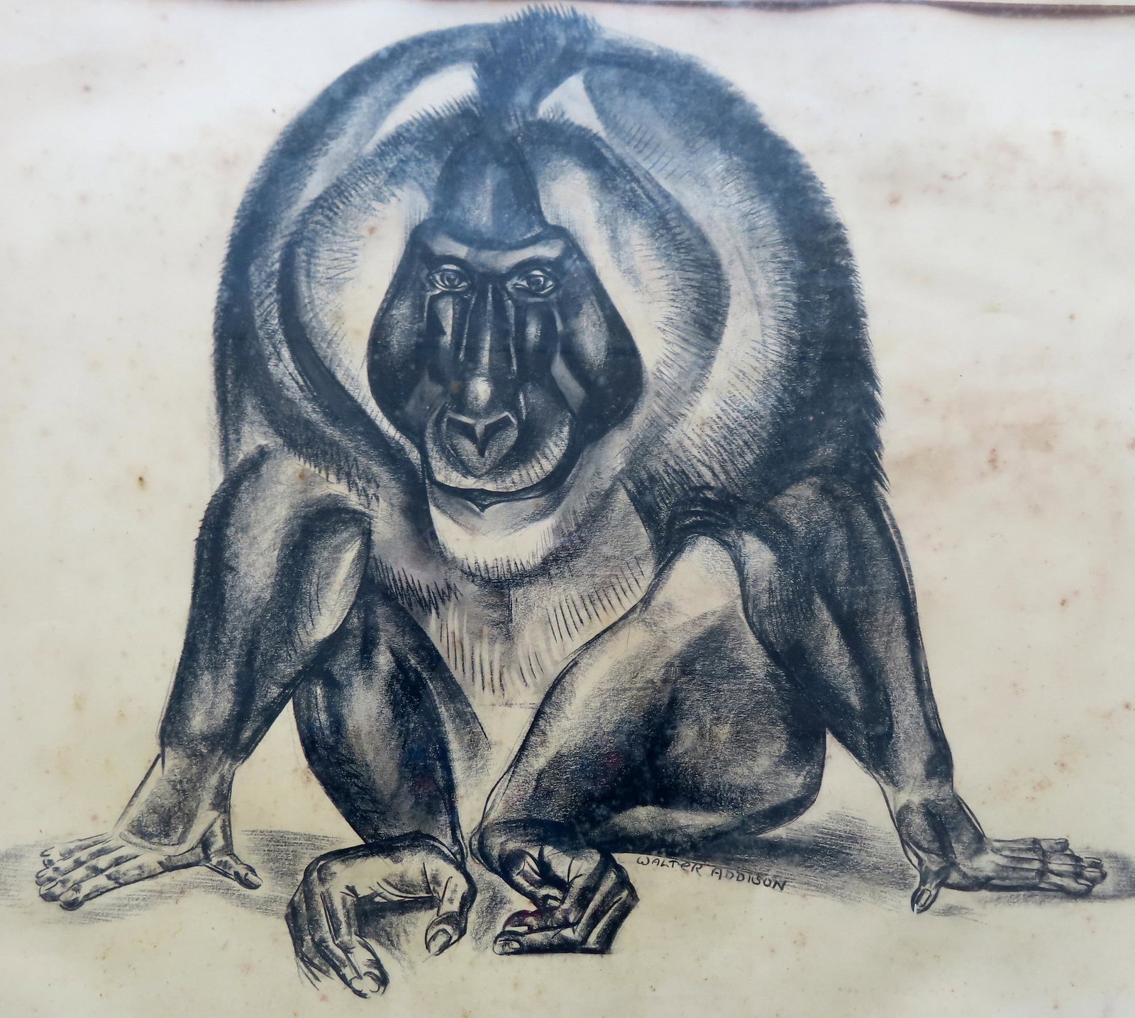 Walter Addison, New York, 1914-1982. A framed charcoal drawing of an ape, signed Walter Addison, (1 of 4)