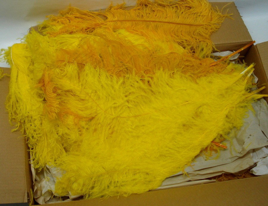 Box of yellow Big Bird feathers.: Box of yellow Big Bird feathers for construction of Sesame Street character. Reportedly dyed turkey feathers. From the estate of Kermit Love, costume designer and puppet maker (NY 1916-1928)