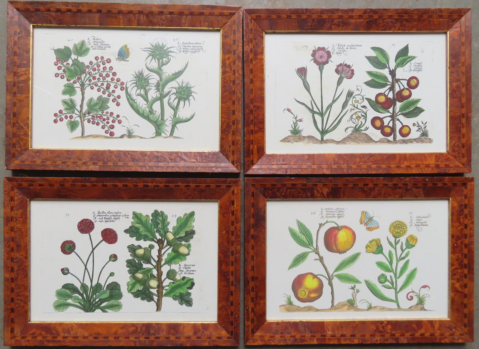 A set of 4 matching contemporary hand colored fruit and flower prints in original custom made inlaid (1 of 9)