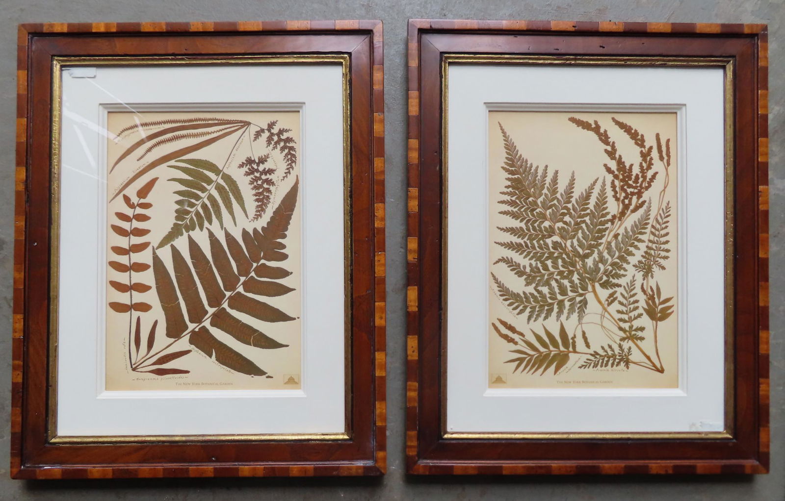 Four contemporary prints housed in high quality custom made frames, including: A pair of matching (1 of 14)