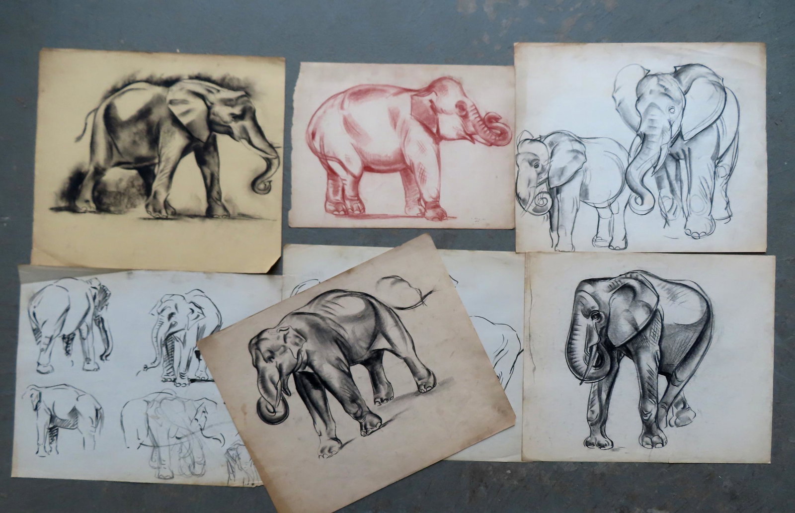 Walter Addison, New York, 1914-1982. Grouping of 7 charcoal sketches of elephants including several: Walter Addison, New York, 1914-1982. Grouping of 7 charcoal sketches of elephants including several more on reverse sides -most in good condition. The largest measures 16 3/4" x 14". While none are si