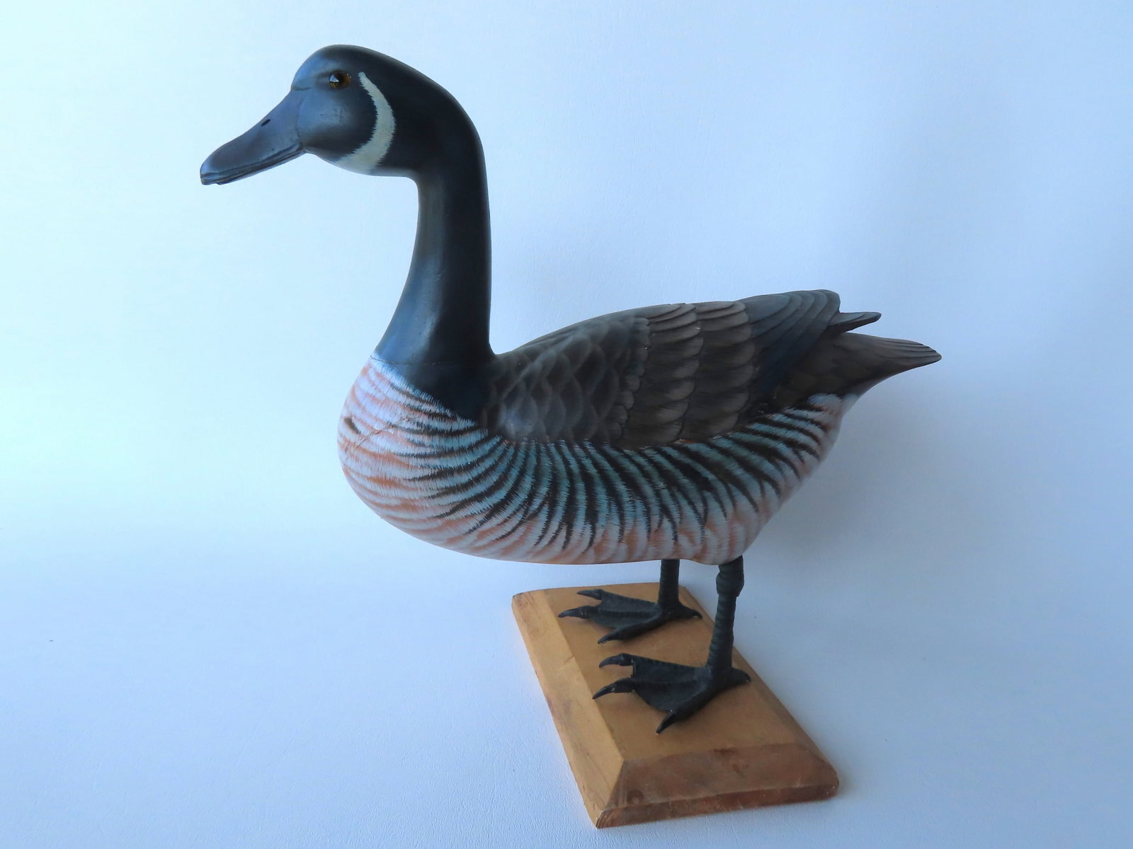 A beautiful carved wooden decoy model with detailed carved feathers, web feet and glass eyes,: A beautiful carved wooden decoy model with detailed carved feathers, web feet and glass eyes, mounted on wooden stand with beveled edge, late 20th century in very good original condition. Measures 12