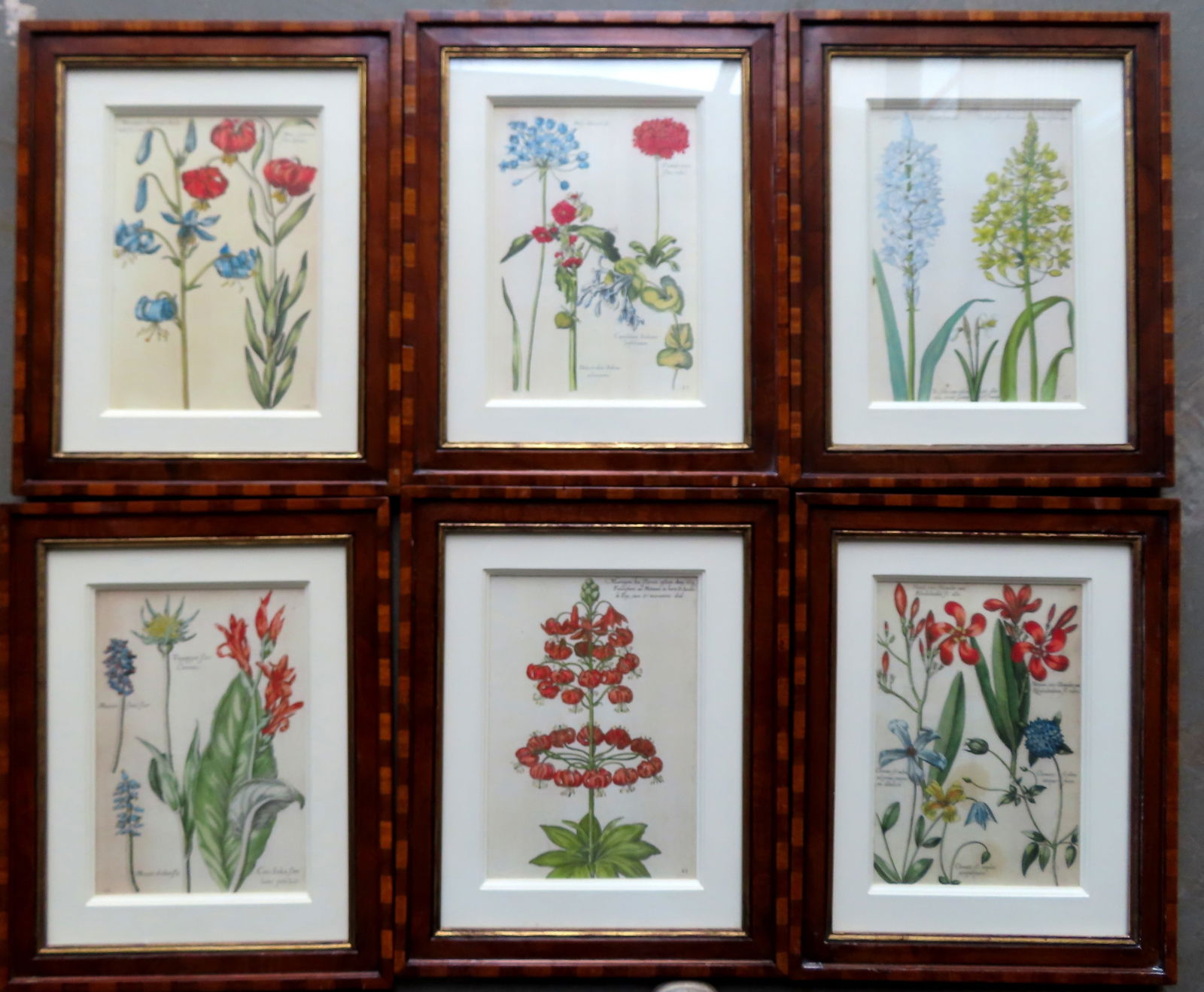 A grouping of 6 framed and hand colored wild flower prints. Professionally framed and matted by (1 of 16)