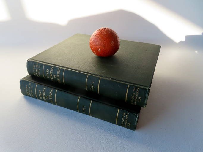 Books Titled "wild Flowers Of New York", 2 Volumes Issued By The State