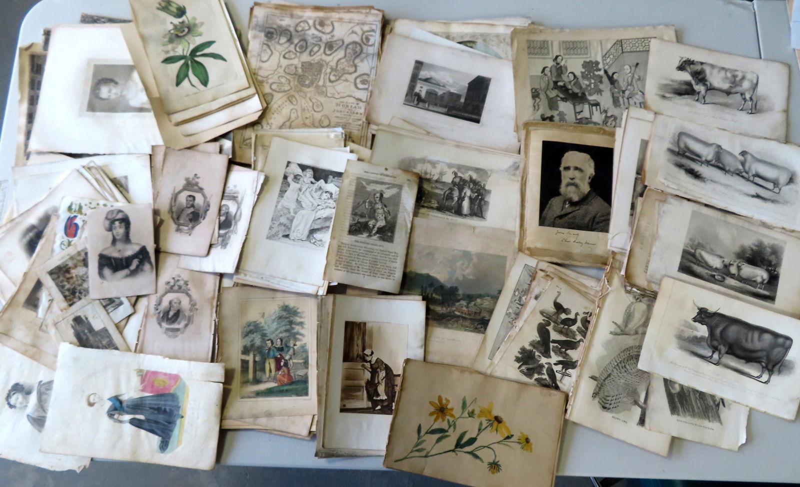 Large grouping of small steel engravings, most 18th/19th century, including maps, royalty portraits, (1 of 20)