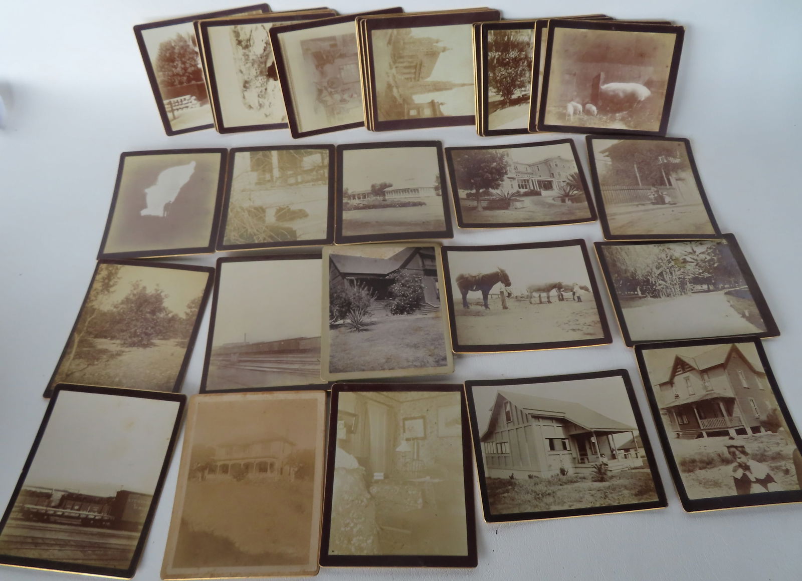 Grouping if 27 small photos of farm animals, railroad, building etc., probably early 20th century - (1 of 6)