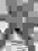 item-12891049=6