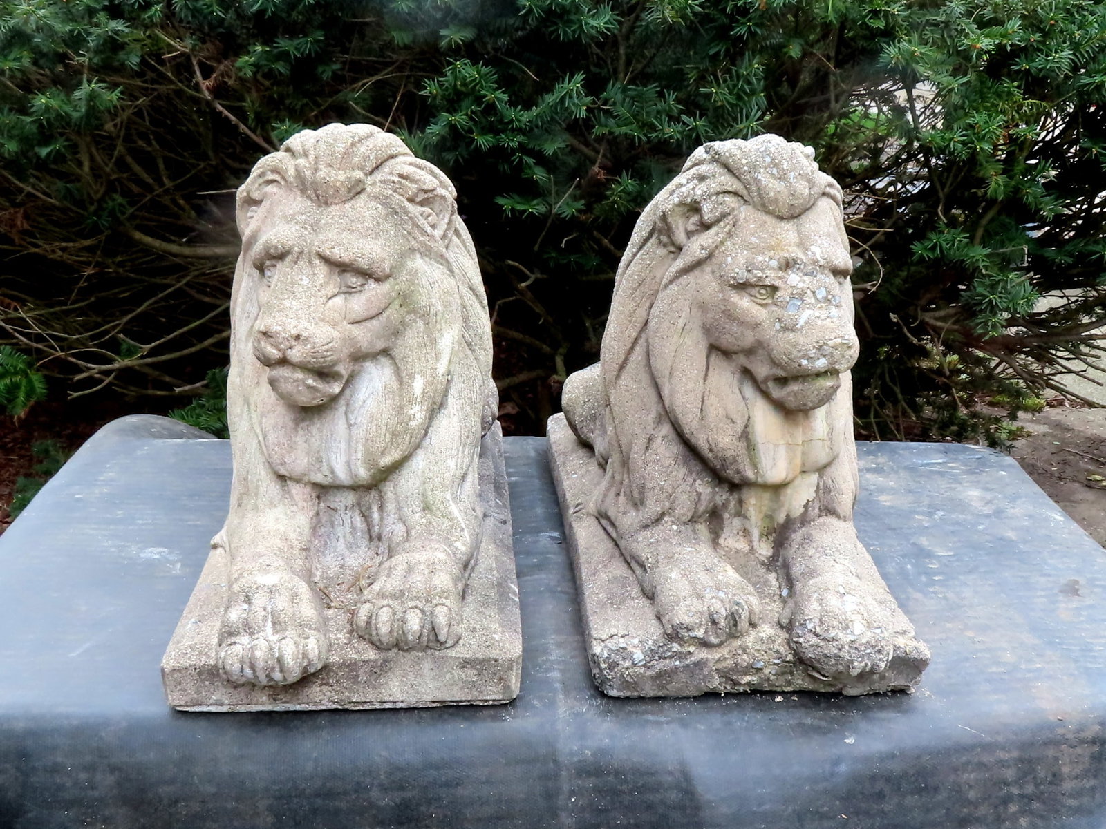 A pair of vintage cast stone recumbent lion garden ornaments, mid 20th century. Both with expected: A pair of vintage cast stone recumbent lion garden ornaments, mid 20th century. Both with expected weathering, one with loss to toes on one foot, else very good condition. Measures 16"L x 10"W x 16"H.