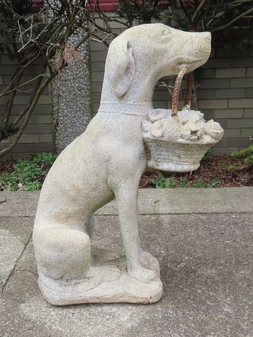 A figural garden ornament in the form of a concrete dog holding basket of fruit. Some losses to the: A figural garden ornament in the form of a concrete dog holding basket of fruit. Some losses to the thin layer of concrete that one carved the iron rebar handle hanging from the dog's mouth, else good