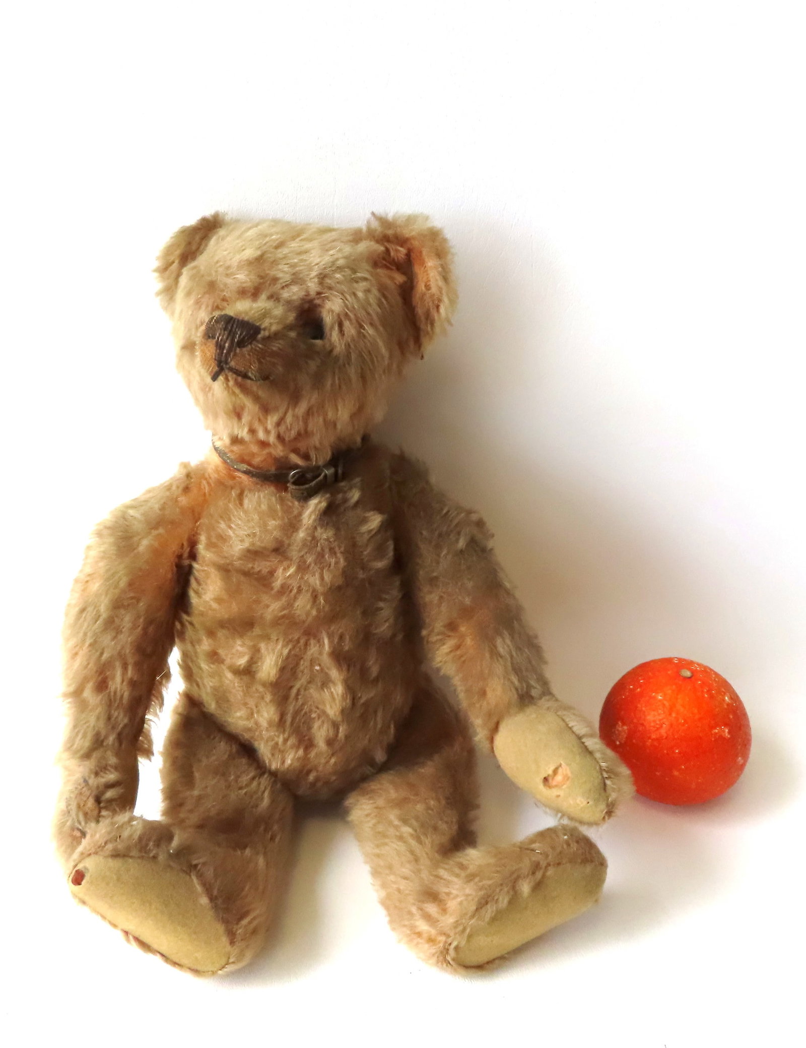 An early Steiff Teddy Bear with pronounced hunch back, long narrow hand sewn muzzle, leather collar: An early Steiff Teddy Bear with pronounced hunch back, long narrow hand sewn muzzle, leather collar signed "SPRATT", shoe button eyes which appear to be plastic, jointed construction with original pad