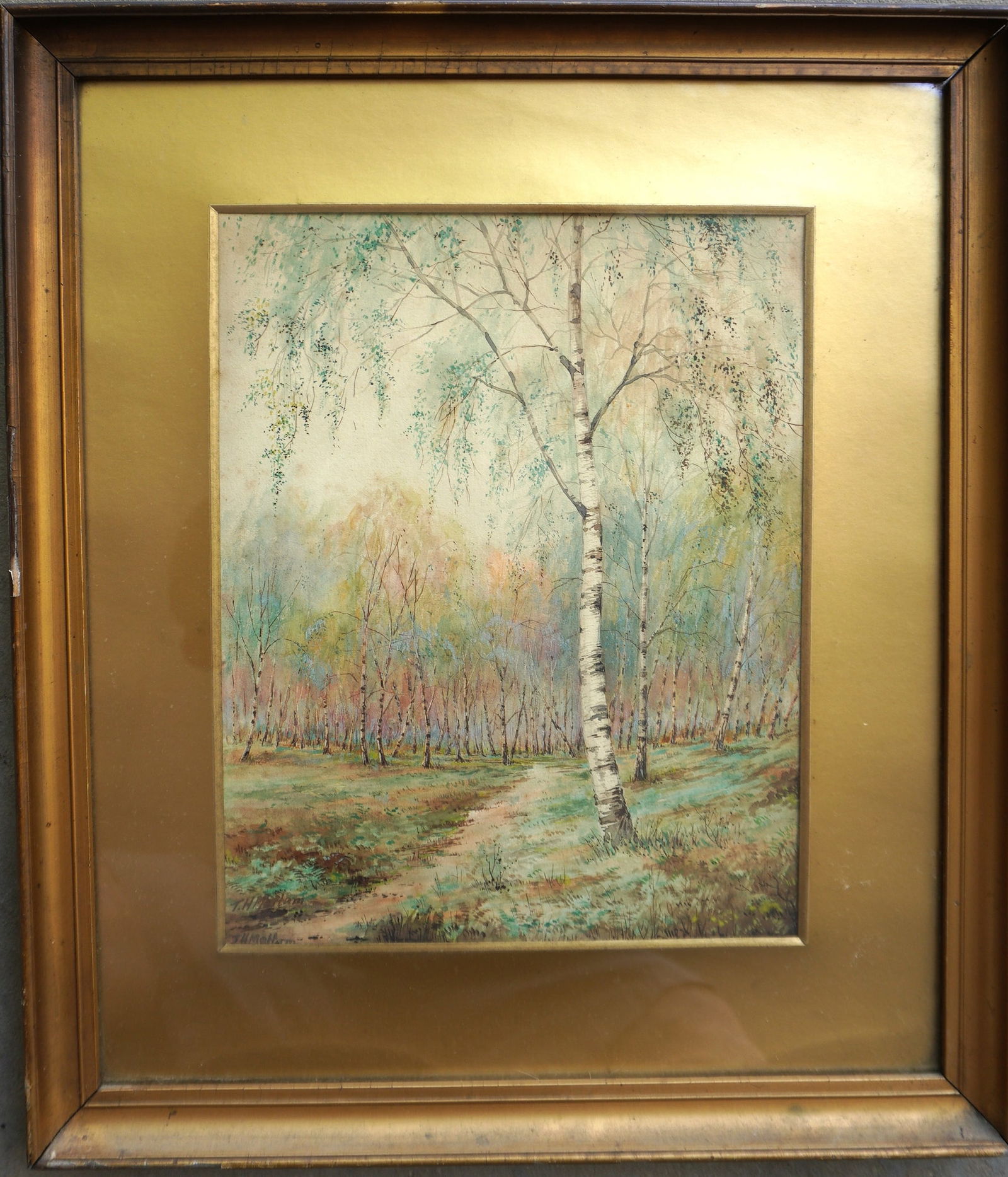 A very fine American W/C landscape depicting a path through the woods lined with white birch trees, (1 of 3)