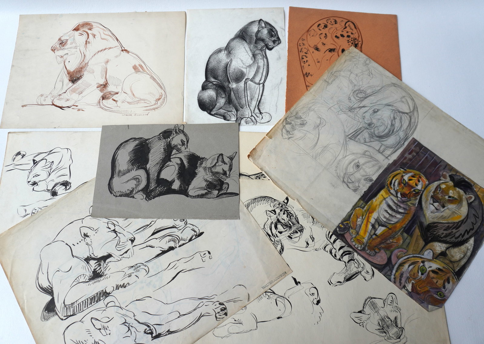 Walter Addison, New York, 1914-1982. Grouping of 10 big cat sketches including watercolors and: Walter Addison, New York, 1914-1982. Grouping of 10 big cat sketches including watercolors and charcoal, most in very good condition, some double sided - 6 either with original signature or stamped si