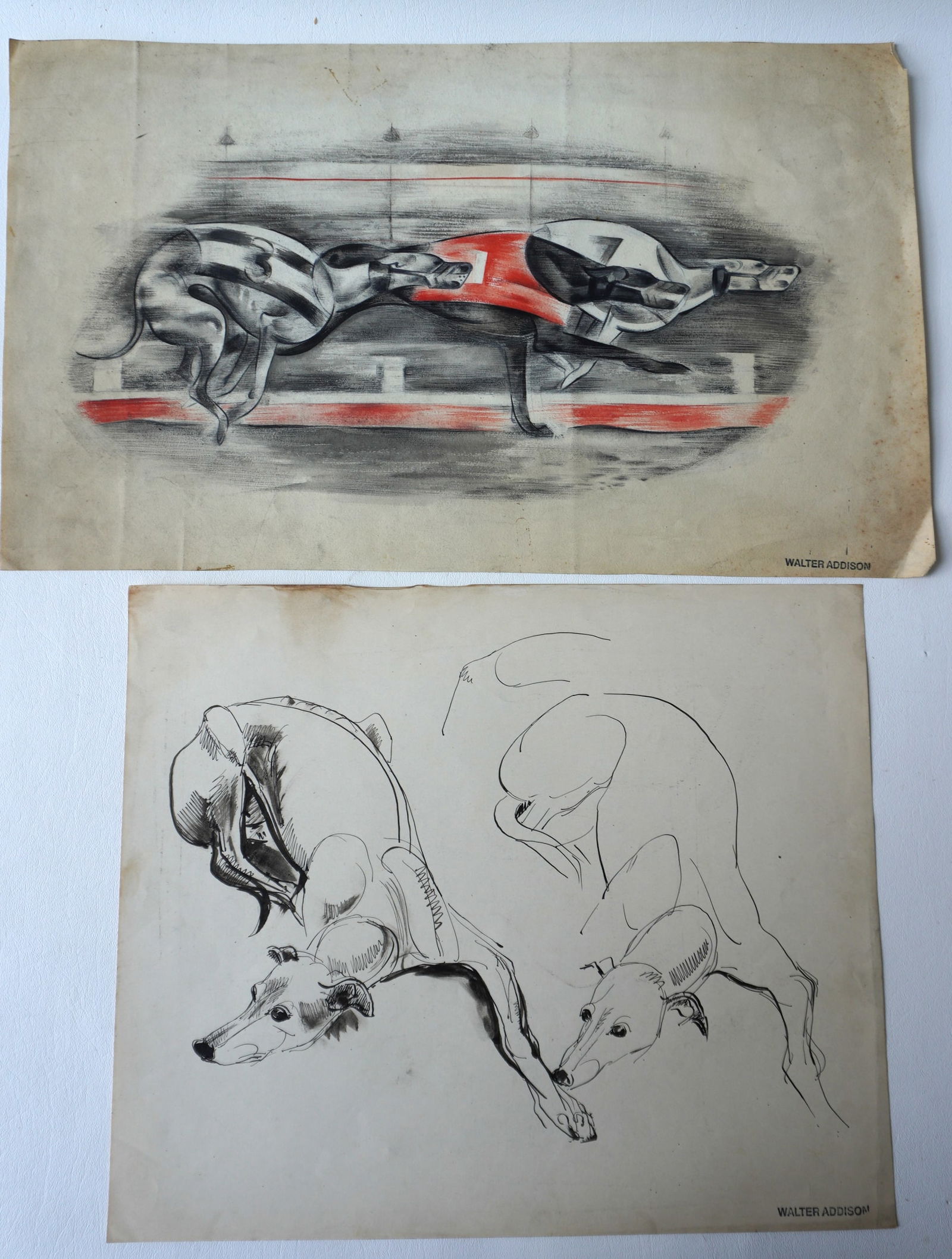 Walter Addison, New York, 1914-1982. Two Greyhound dog illustrations with stamped Walter Addison (1 of 3)