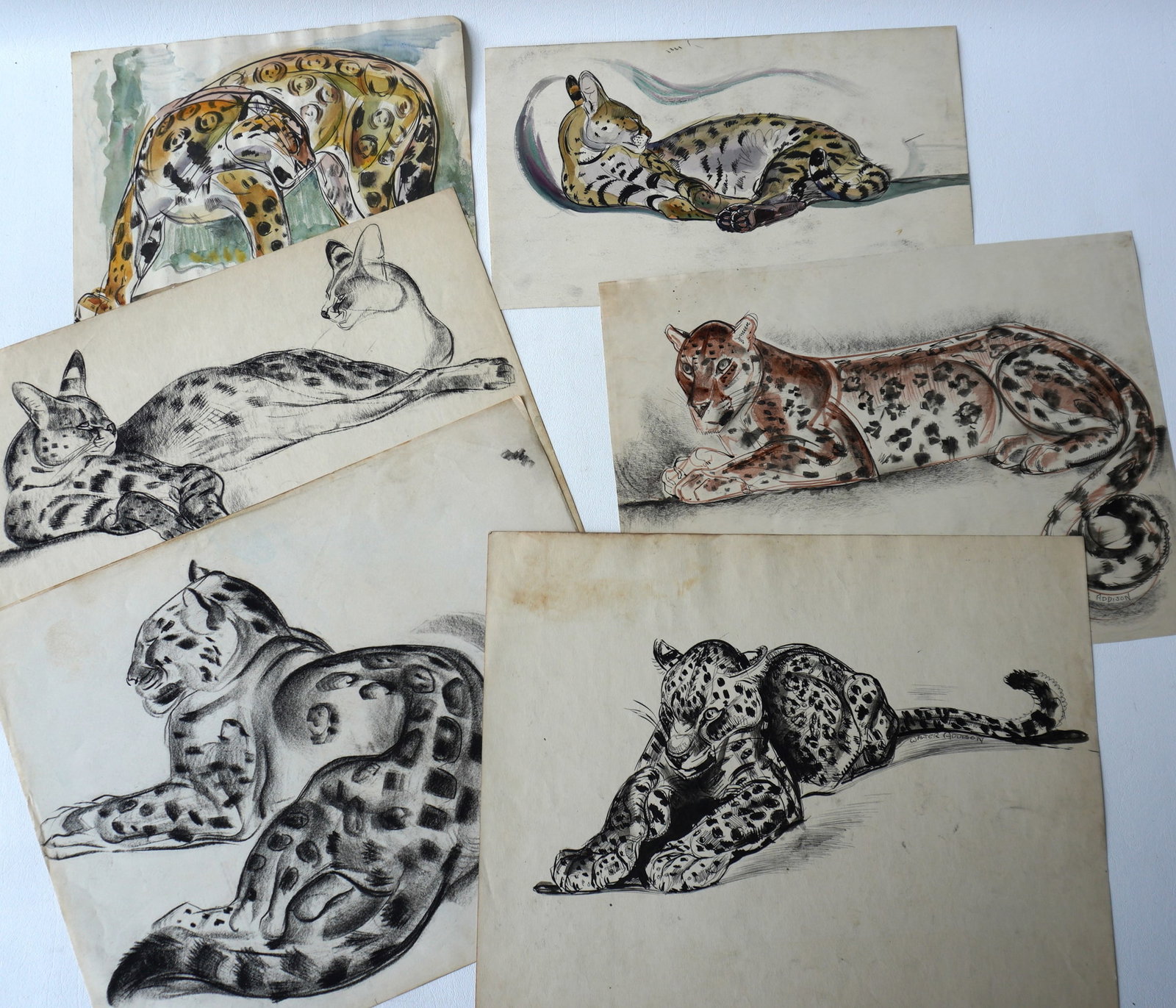 Walter Addison, New York, 1914-1982. Grouping of 6 Jaguar sketches, including 3 watercolors and 1: Walter Addison, New York, 1914-1982. Grouping of 6 Jaguar sketches, including 3 watercolors and 1 pen and ink, and 2 charcoals, all in good condition. Two with original Walter Addison signatures and 4