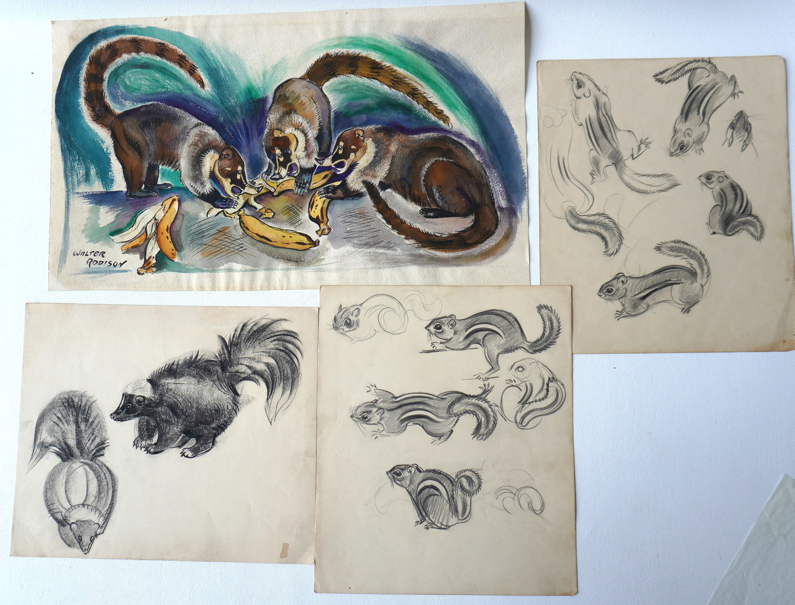 Walter Addison, New York, 1914-1982. Grouping of 4 wild animal sketches, one signed Walter Addison, (1 of 3)