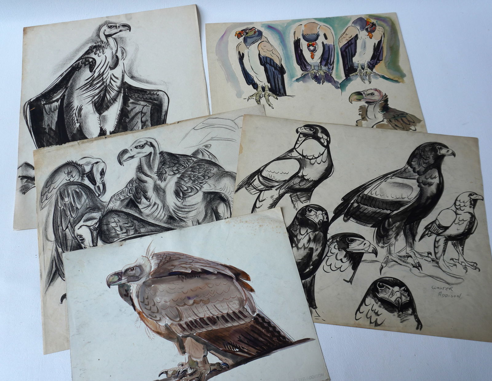 Walter Addison, New York, 1914-1982. Grouping of 5 large bird sketches including 4 watercolors and 1 (1 of 5)