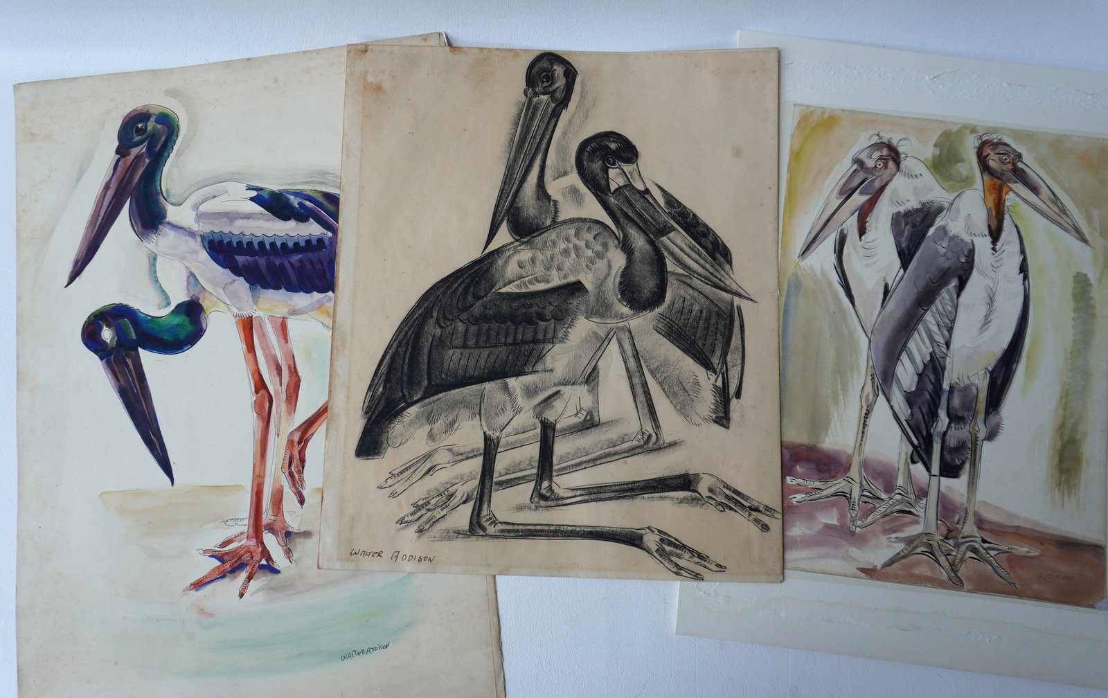 Walter Addison, New York, 1914-1982. Grouping of 4 exotic bird sketches including 2 watercolors and: Walter Addison, New York, 1914-1982. Grouping of 4 exotic bird sketches including 2 watercolors and 2 charcoal (one page double sided), all in good condition and signed Addison. The largest 21" x 14 1
