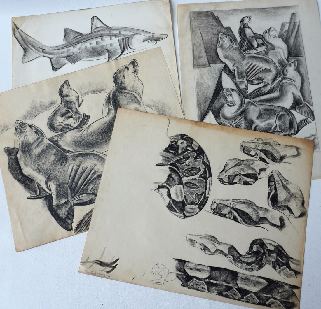 Walter Addison, New York, 1914-1982. Grouping of 4 charcoal sketches of Sea Lions (one not signed: Walter Addison, New York, 1914-1982. Grouping of 4 charcoal sketches of Sea Lions (one not signed and the other signed Walter Addison), snakes (with oval stamp "Estate of This Artist - Walter Addison"