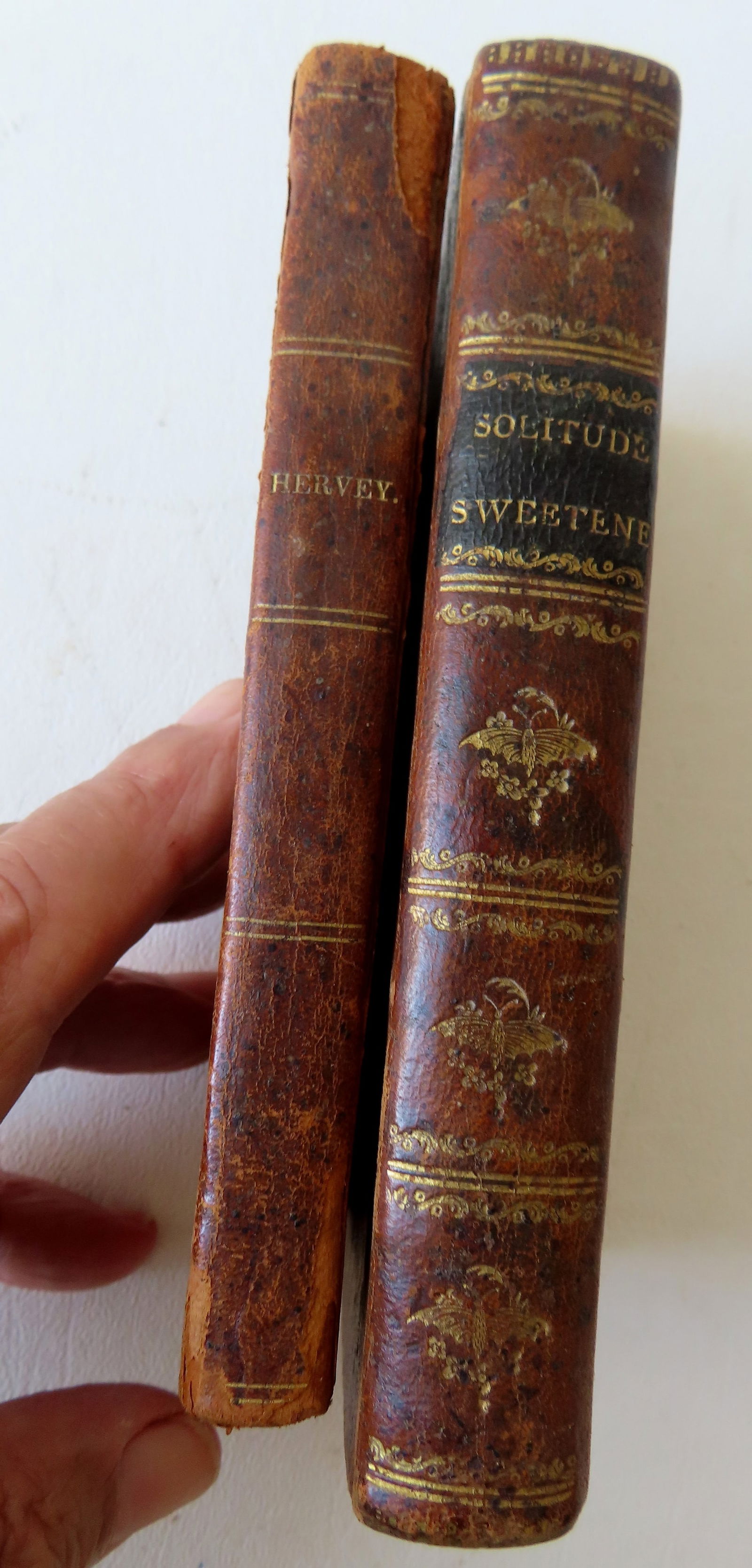 Two early books on Religious Meditation, including: "Meditations Among the Tombs: Tending To Reform (1 of 5)