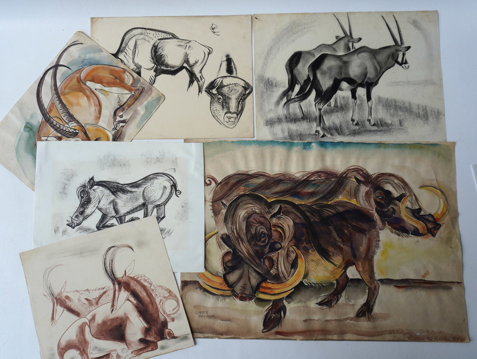 Walter Addison, New York, 1914-1982. Grouping of 6 wild animal sketches including 3 in watercolor: Walter Addison, New York, 1914-1982. Grouping of 6 wild animal sketches including 3 in watercolor and 3 in charcoal, all in very good condition. One unsigned and 5 with either original Addison signatu