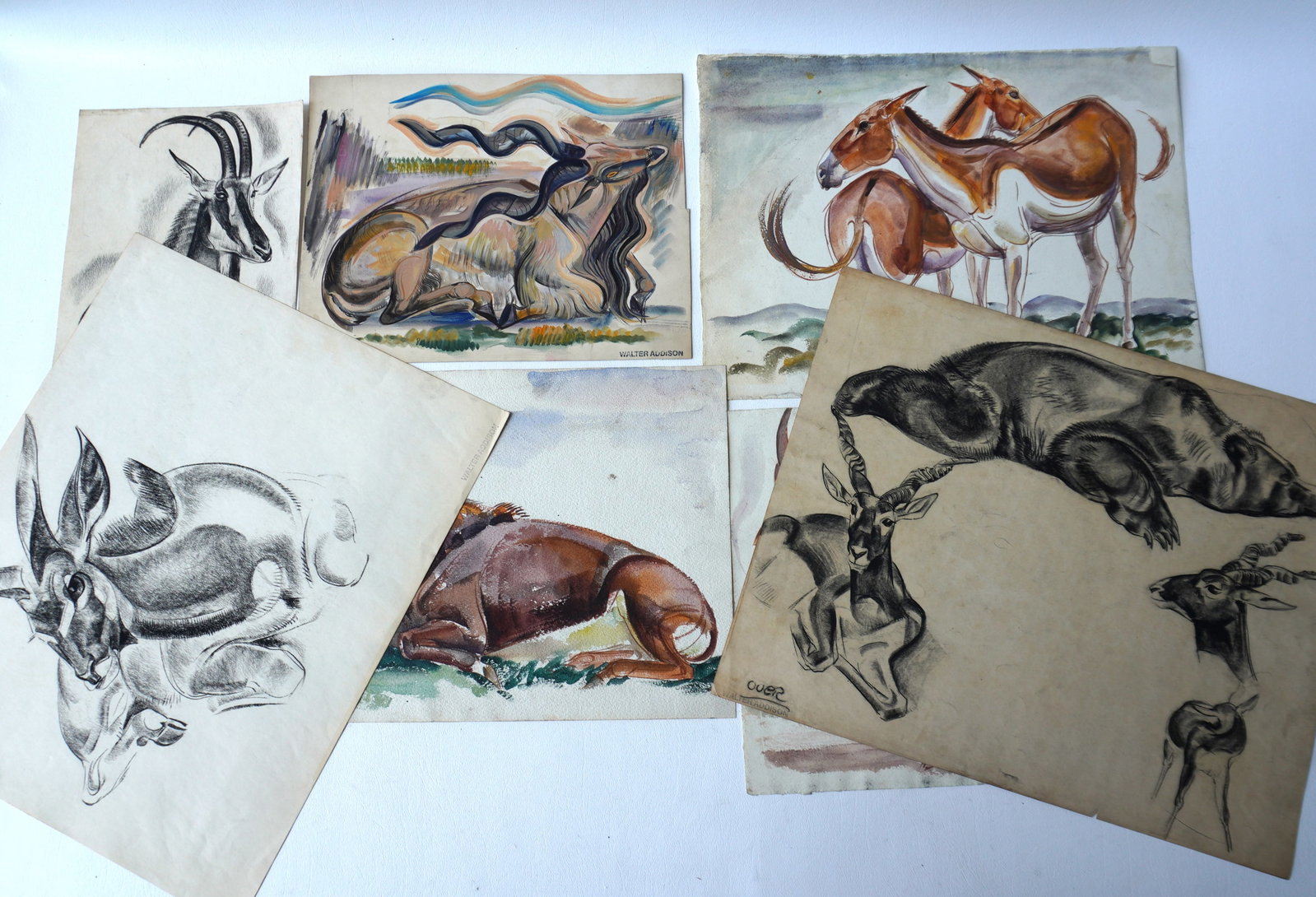 Walter Addison, New York, 1914-1982. Grouping of 7 charcoal and watercolor sketches of mostly: Walter Addison, New York, 1914-1982. Grouping of 7 charcoal and watercolor sketches of mostly antelopes. One sketch with antelope and resting bear on one side and antelope and cat-like creature on the