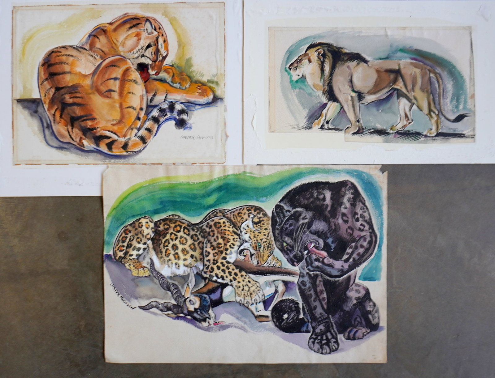 Walter Addison, New York, 1914-1982. Grouping of 3 big cat watercolors, including Panther, Jaguar,: Walter Addison, New York, 1914-1982. Grouping of 3 big cat watercolors, including Panther, Jaguar, Lion and tiger, all in very good condition. All artist signed by Walter Addison. The largest 21" x 14