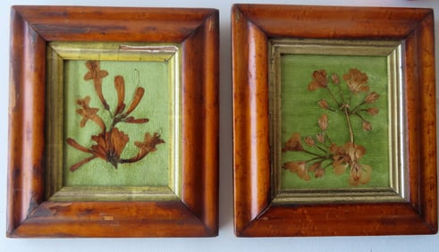 A good pair of birdseye maple frames with gold insets, 1830-50. Currently housing a pair of matching