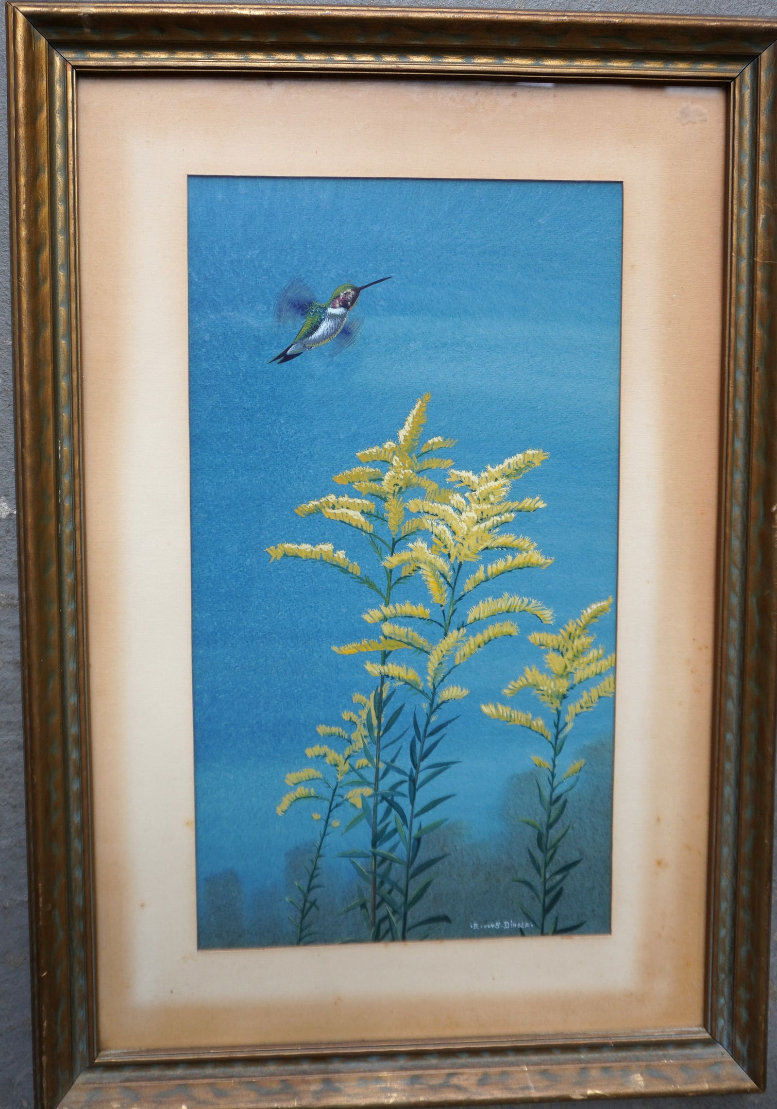 W/C Depicting hummingbird flying over Goldenrod plant, signed E. Von S. Dingle (Edward Von Siebold (1 of 6)