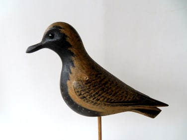 David B. Ward (CT, 1947-2020). A carved Plover decoy in original paint, glass eyes, raised wings,